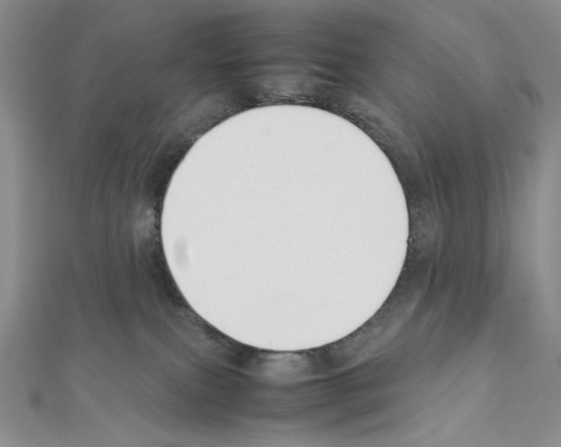 X0000111630087200908281144