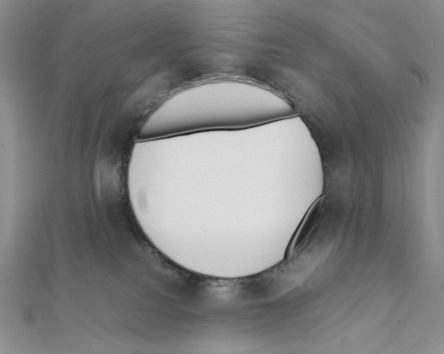 X0000111630088200908281144
