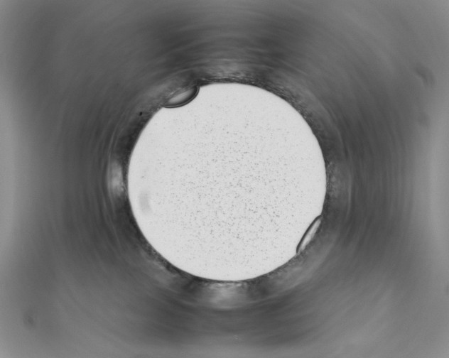 X0000111630089200908281144