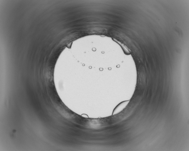 X0000111630091200908281144