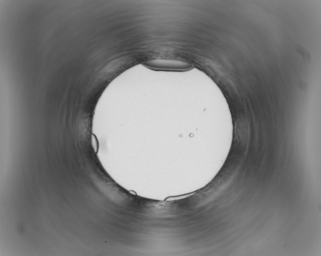 X0000111630092200908281144