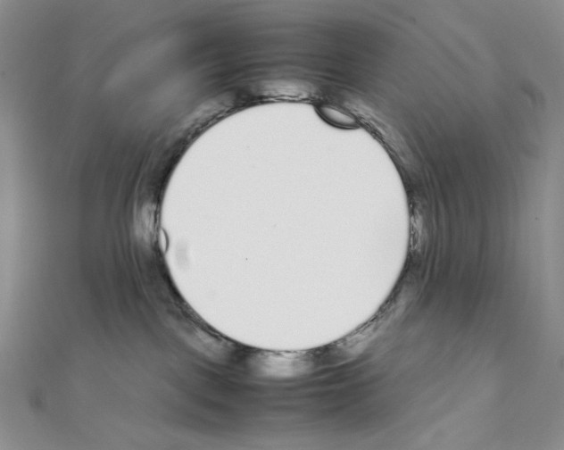 X0000111630093200908281144