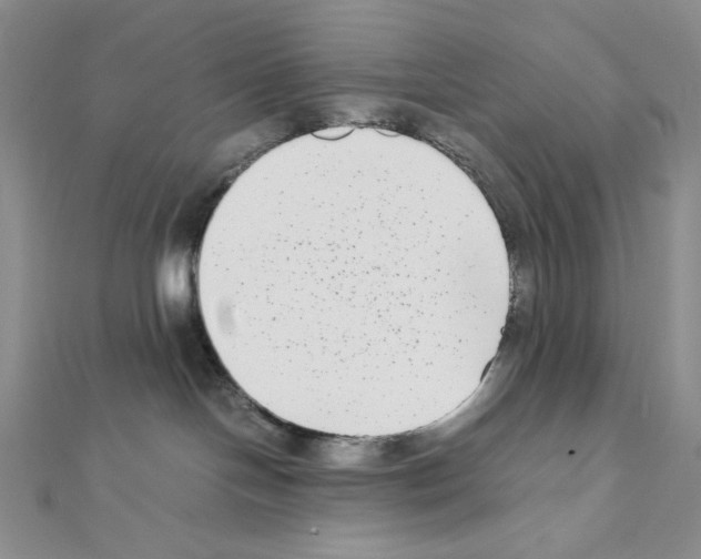 X0000111630094200908281144