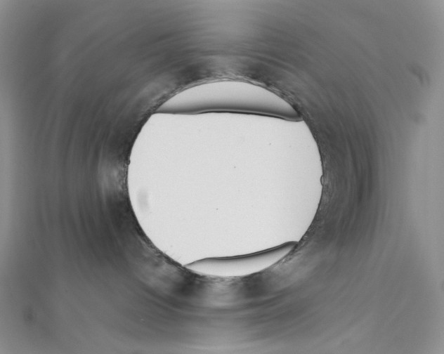 X0000111630096200908281144