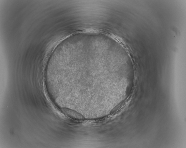 X0000111630097200908281143