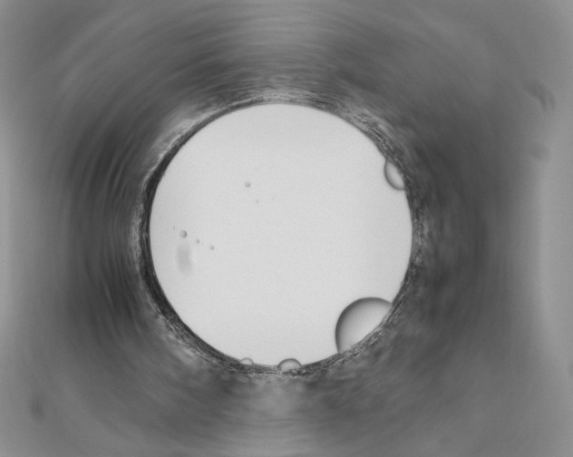 X0000111630098200908281143