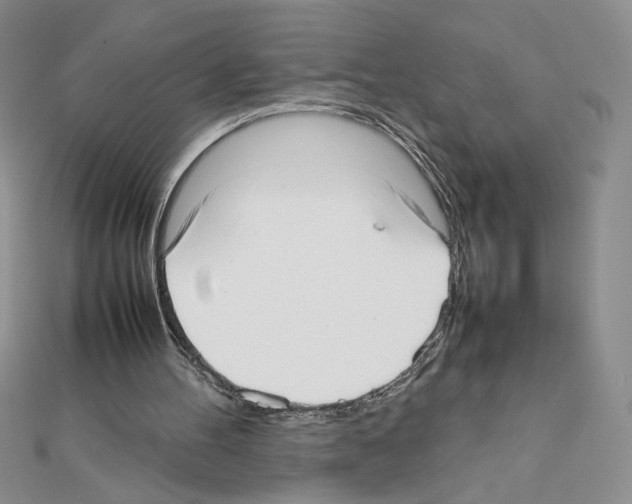 X0000111630100200908281143