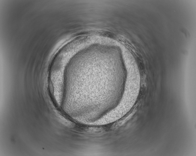 X0000111630101200908281143