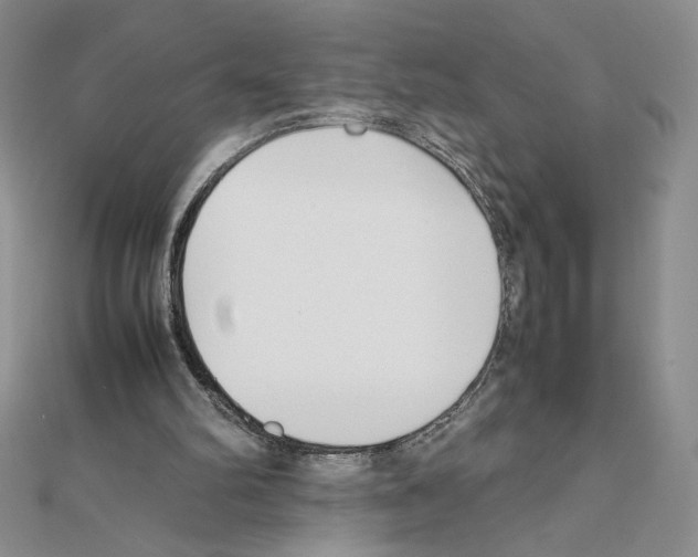 X0000111630102200908281143