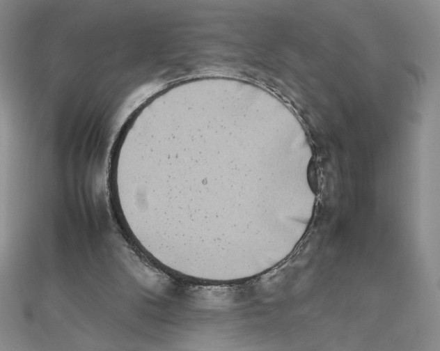 X0000111630104200908281143