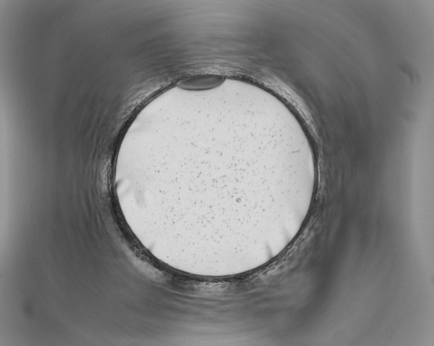 X0000111630105200908281143