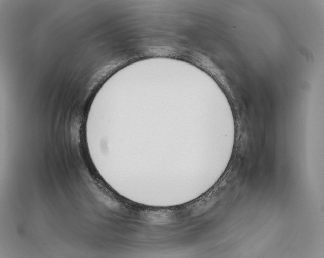 X0000111630106200908281143