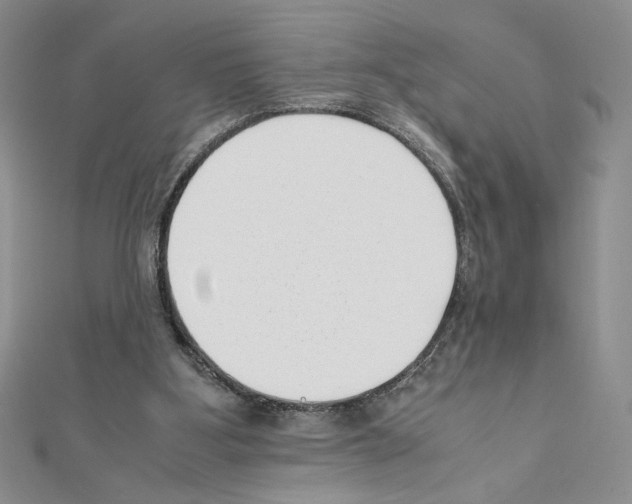 X0000111630107200908281143