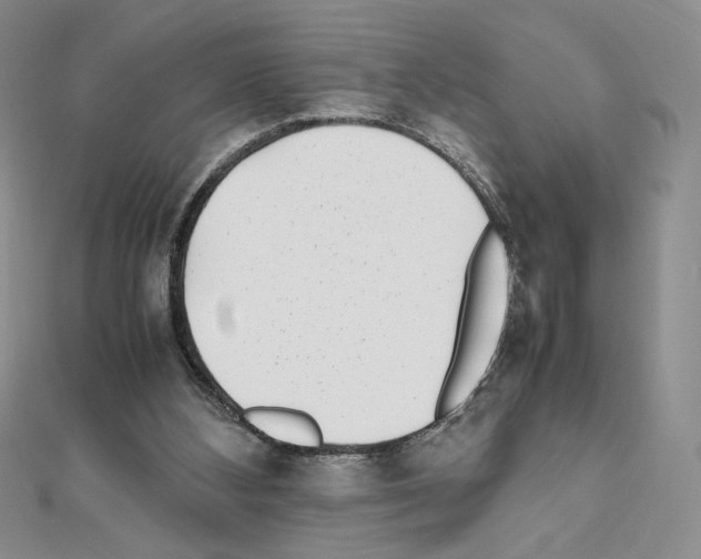 X0000111630108200908281143
