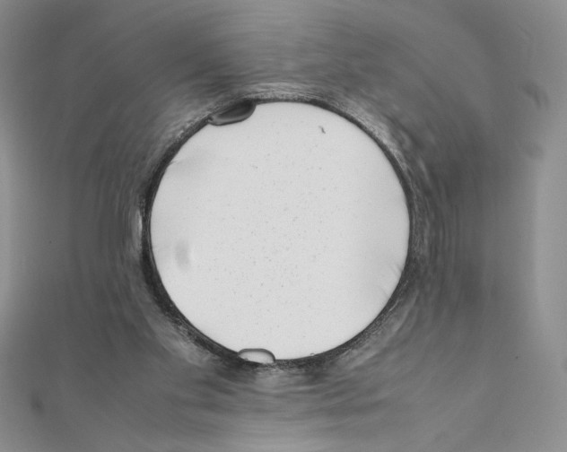 X0000111630109200908281143