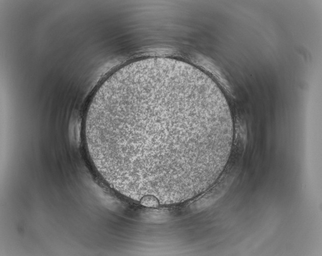 X0000111630110200908281143