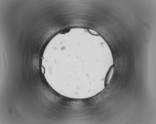 X0000111630112200908281143