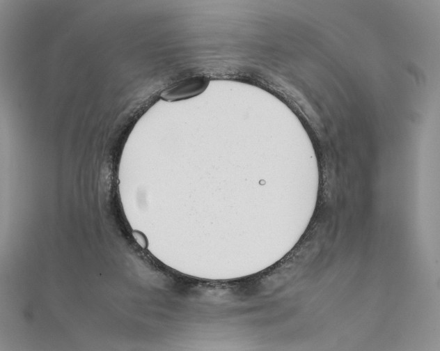 X0000111630113200908281143