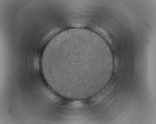 X0000111630114200908281143