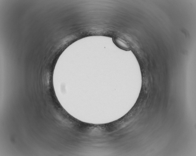 X0000111630115200908281143