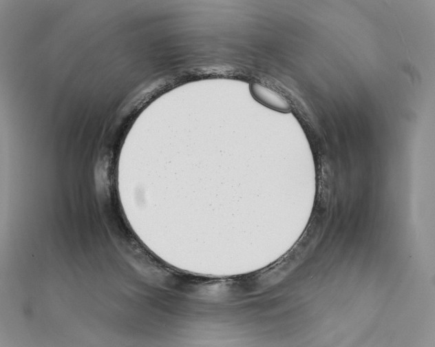 X0000111630116200908281143
