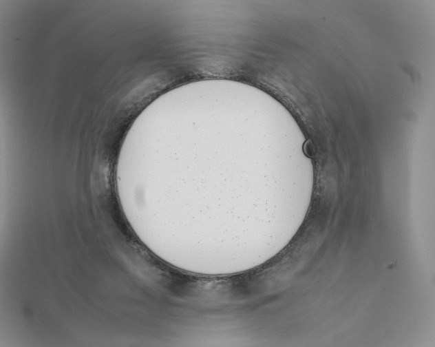 X0000111630117200908281143