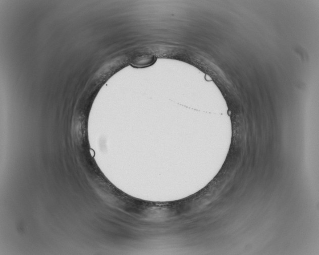 X0000111630119200908281143
