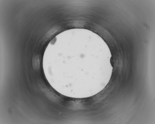 X0000111630120200908281143