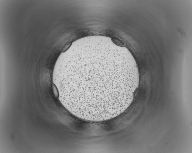 X0000111630121200908281143