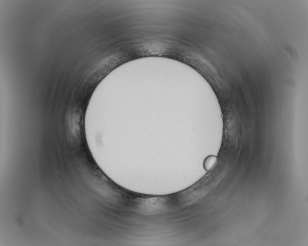 X0000111630122200908281143