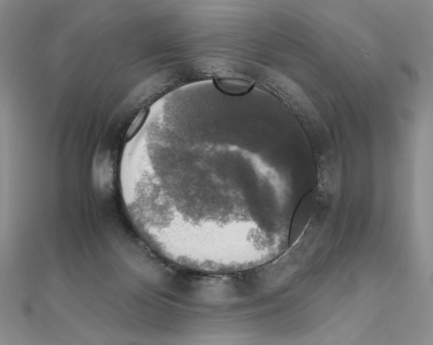 X0000111630124200908281143