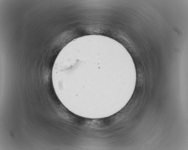 X0000111630125200908281143