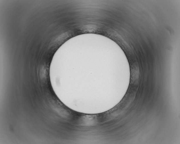 X0000111630126200908281143