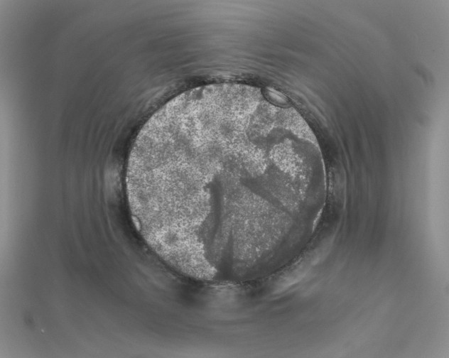 X0000111630127200908281143