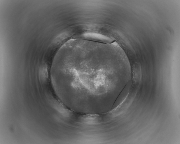 X0000111630128200908281143