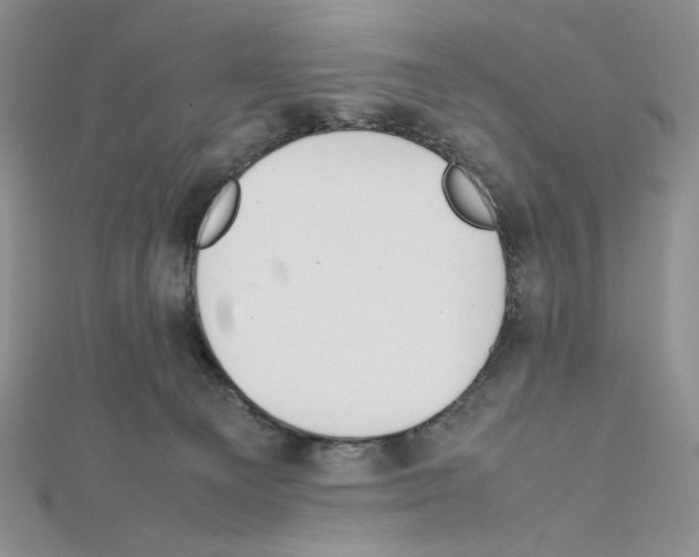 X0000111630129200908281143