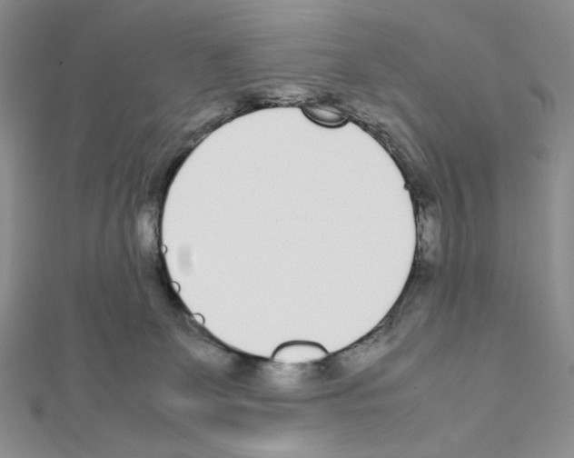X0000111630131200908281143