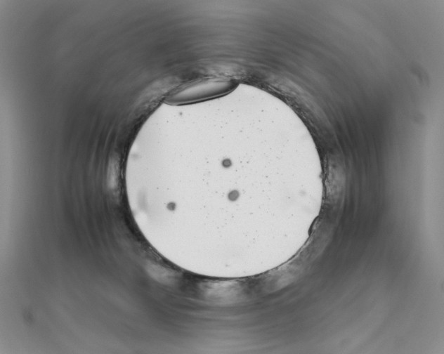 X0000111630132200908281143