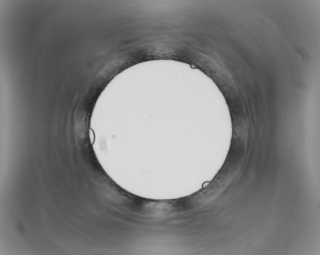 X0000111630133200908281143