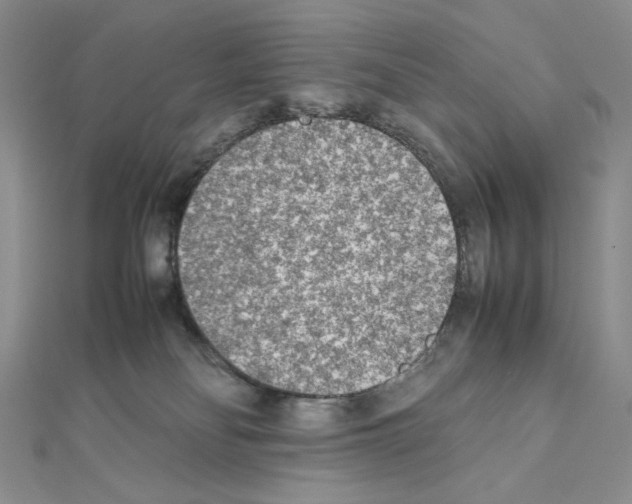 X0000111630134200908281143