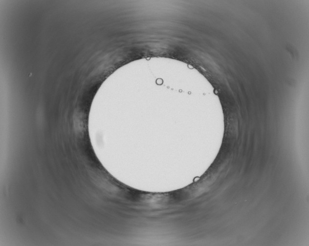 X0000111630135200908281143