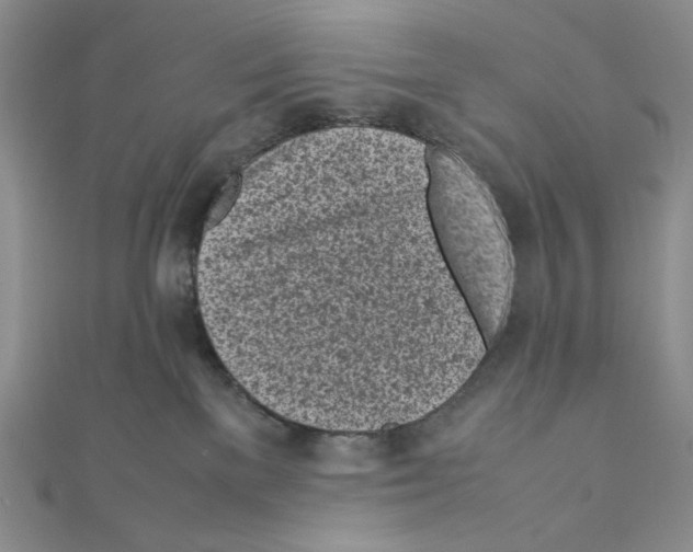 X0000111630137200908281143