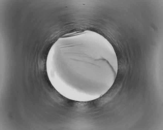 X0000111630139200908281143