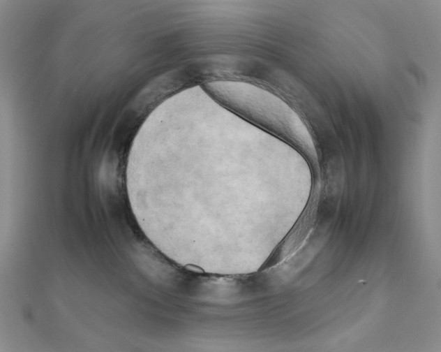 X0000111630140200908281143