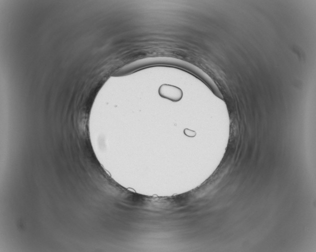 X0000111630141200908281143