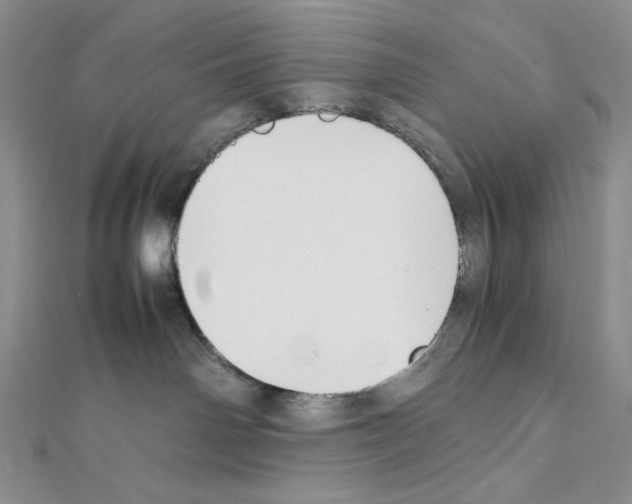 X0000111630142200908281143