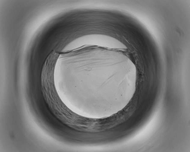 X0000111630143200908281143