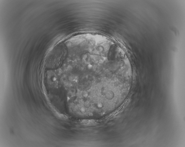 X0000111630145200908281142