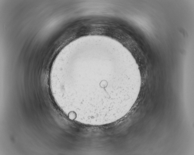 X0000111630146200908281142