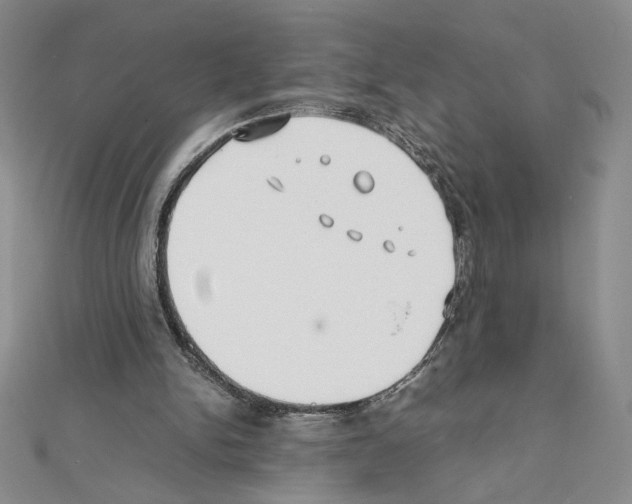X0000111630150200908281142